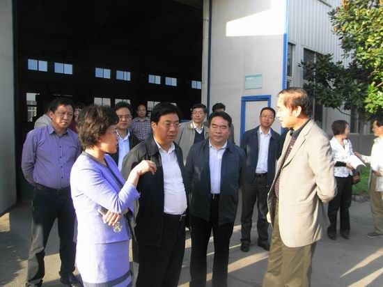 洛陽市委副書記、市長李柳身蒞臨公司調(diào)研機器人軸承項目